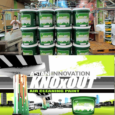 Team MMPI Feature Asian Knoxout 02